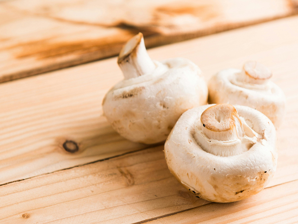 fresh bottom mushroom