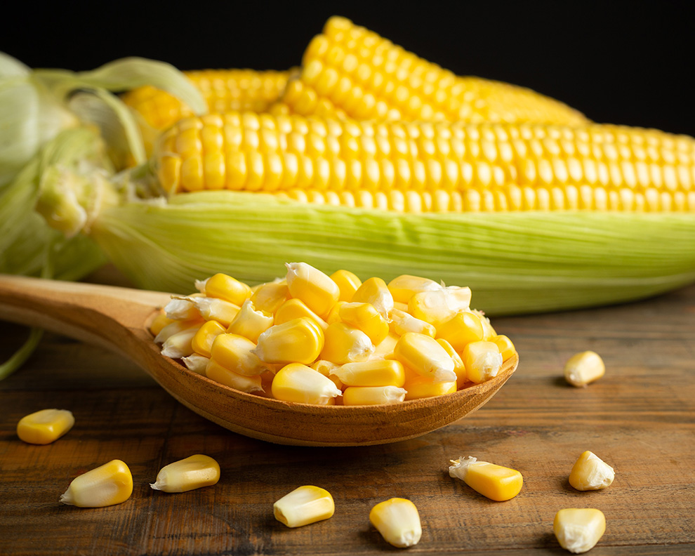 seeds-sweet-corn