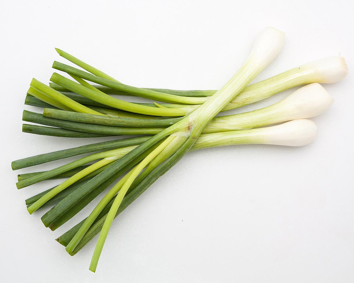 Leek-7