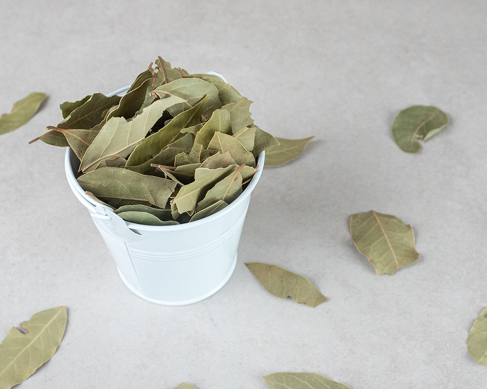dried-bay-leaves