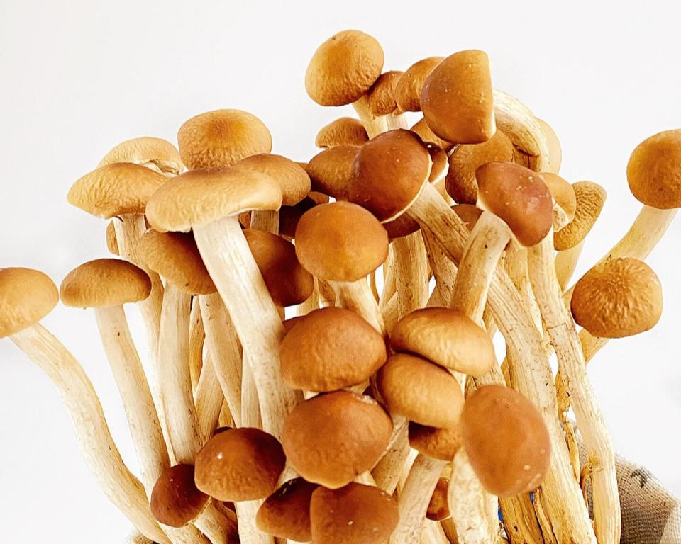 5721bb12d5f83bf8a07a1d442b479b24