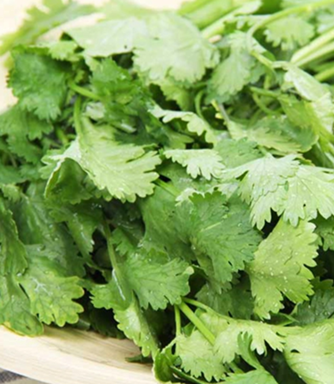 Is Cilantro the Same as Coriander?