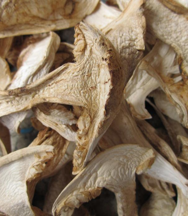How Long Do Dried Mushrooms Last: Tips for Storage and Usage