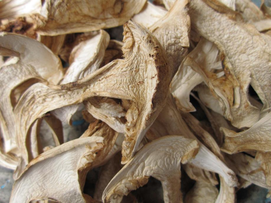 Dried Mushrooms1.png