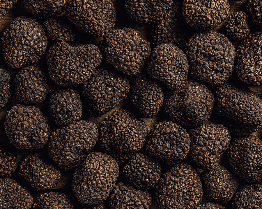 black-truffle-gourmet-mushrooms