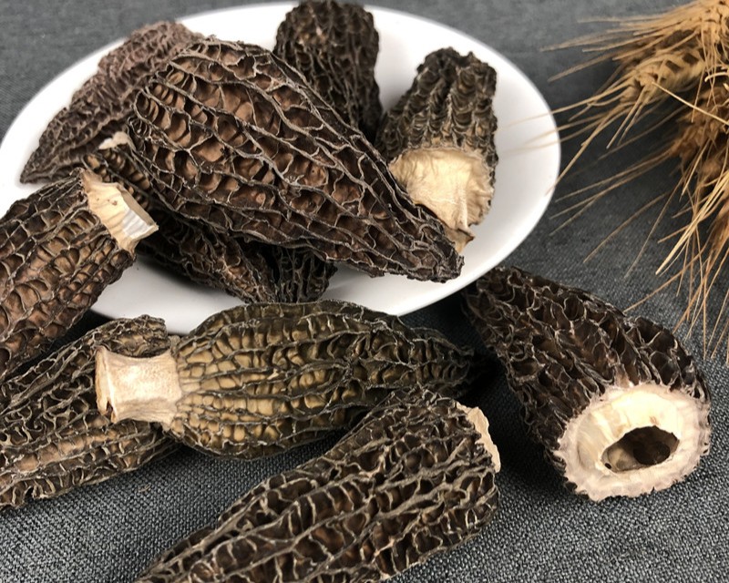 dehydrated dried morel mushrooms whole