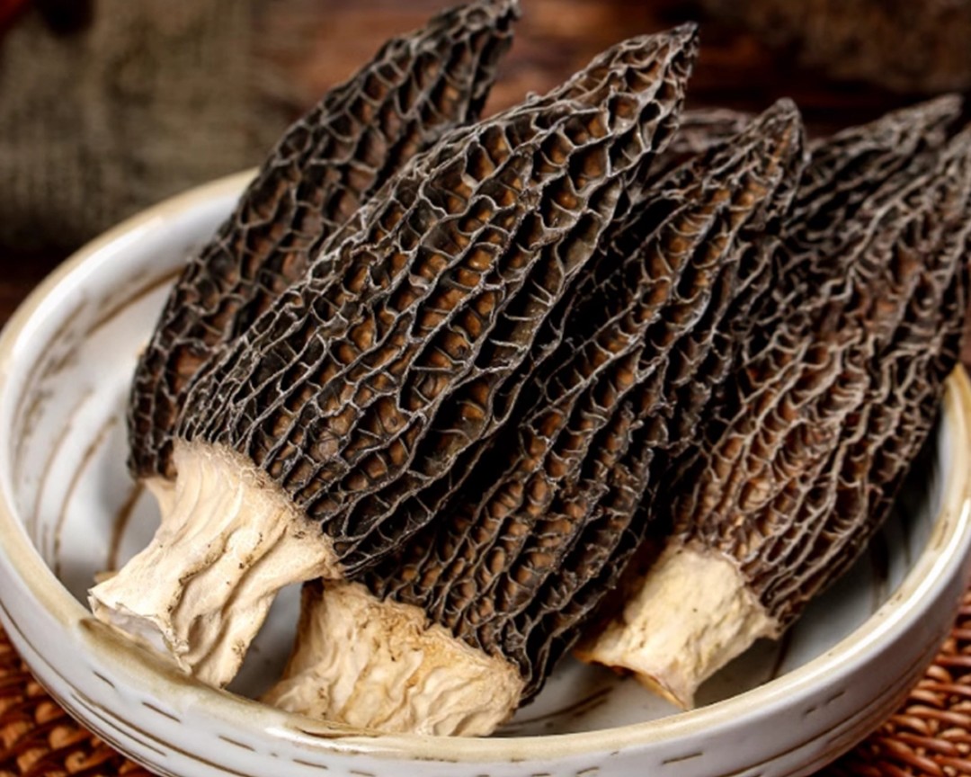 dehydrated morel mushroom
