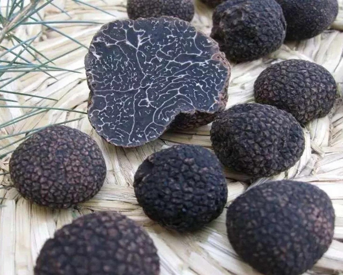 dried black truffle