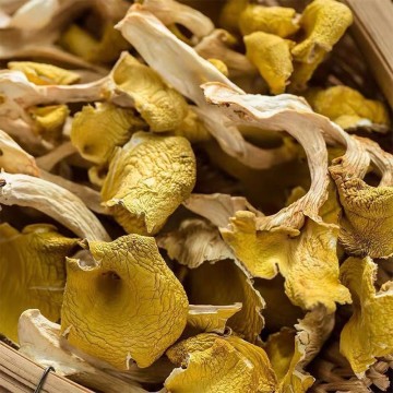 Chanterelle Mushrooms