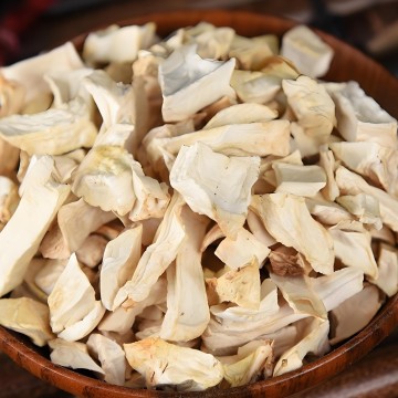 King Oyster Mushrooms