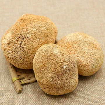 Lion’s Mane Mushrooms