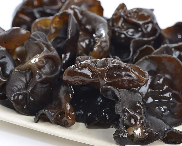 fresh black fungus