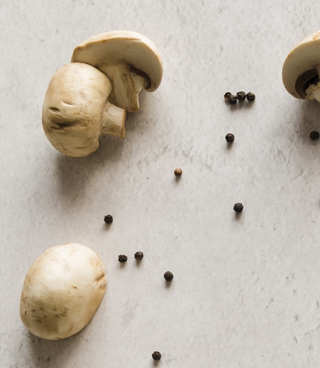 Global Dried Mushroom Market Trends and Forecast Through 2025