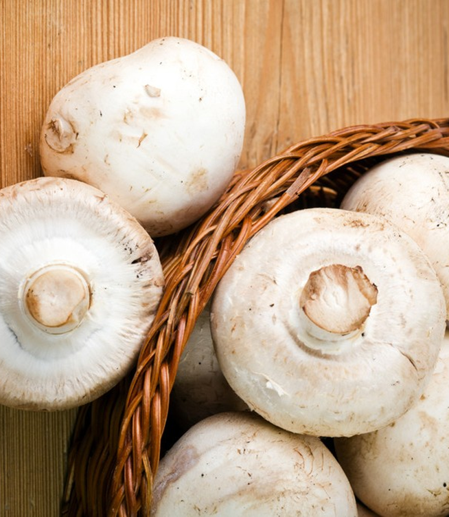 Do Dried Mushrooms Lose Nutrients?