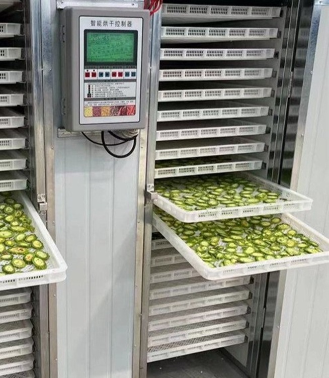 Is a Food Dehydrator the Same as a Freeze Dryer?
