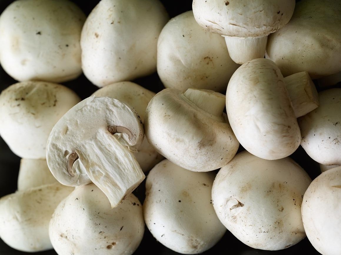 Champignon de Paris blanc 1.jpg