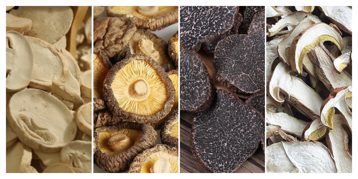 おすすめの乾燥キノコ10選 - SHUNDI