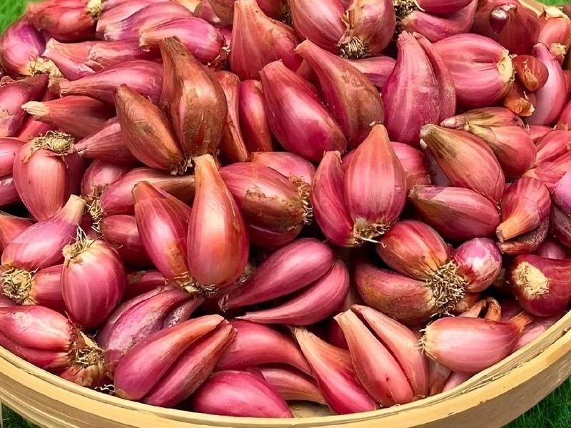 fresh shallot