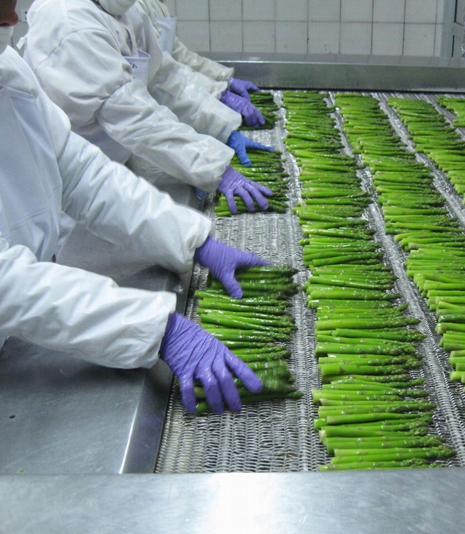 What Does IQF Stand for in Food?