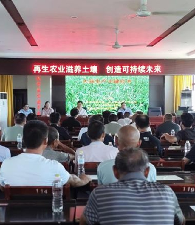 From Garlic Fields to Global Tables: ShunDi’s Sustainable Farming Journey