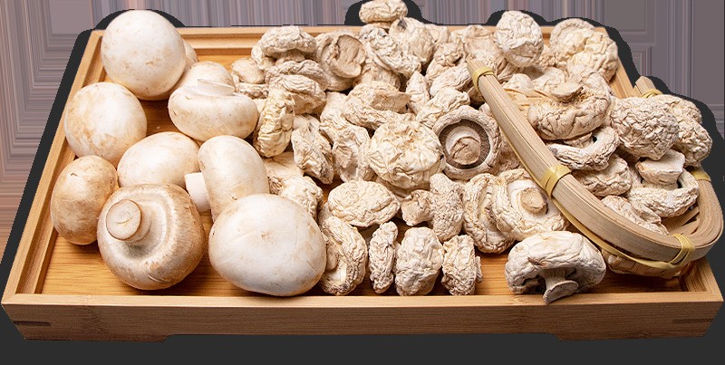 Champignons lyophilisés.jpg