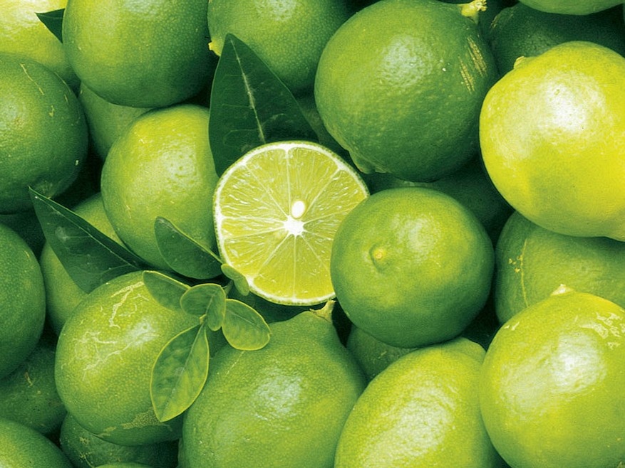 citron vert frais