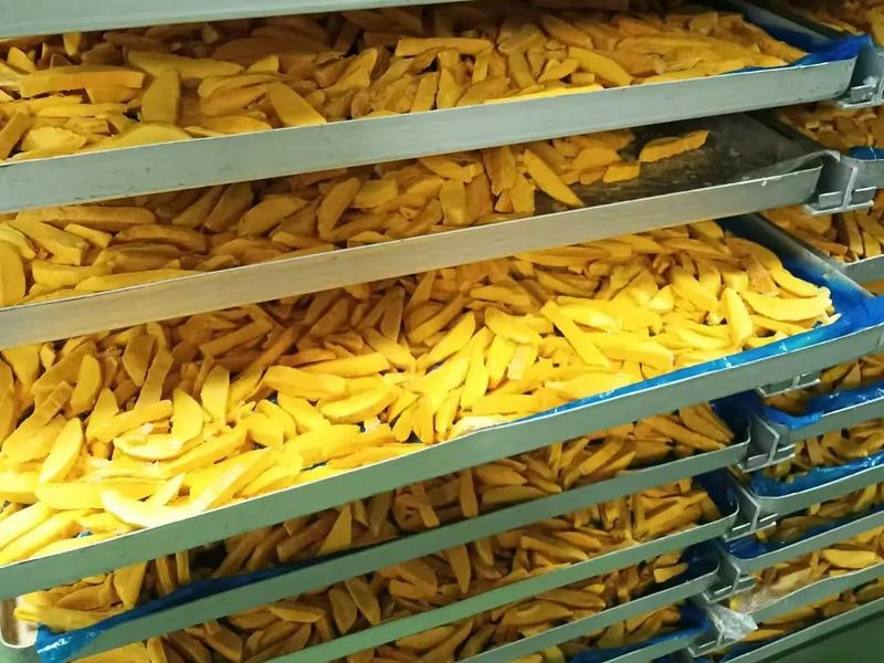 Poudre de mangue lyophilisée.jpg