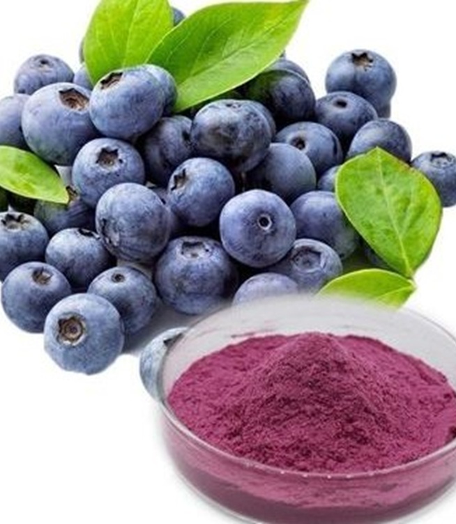Freeze Dried Blueberry Powder: A Complete Guide