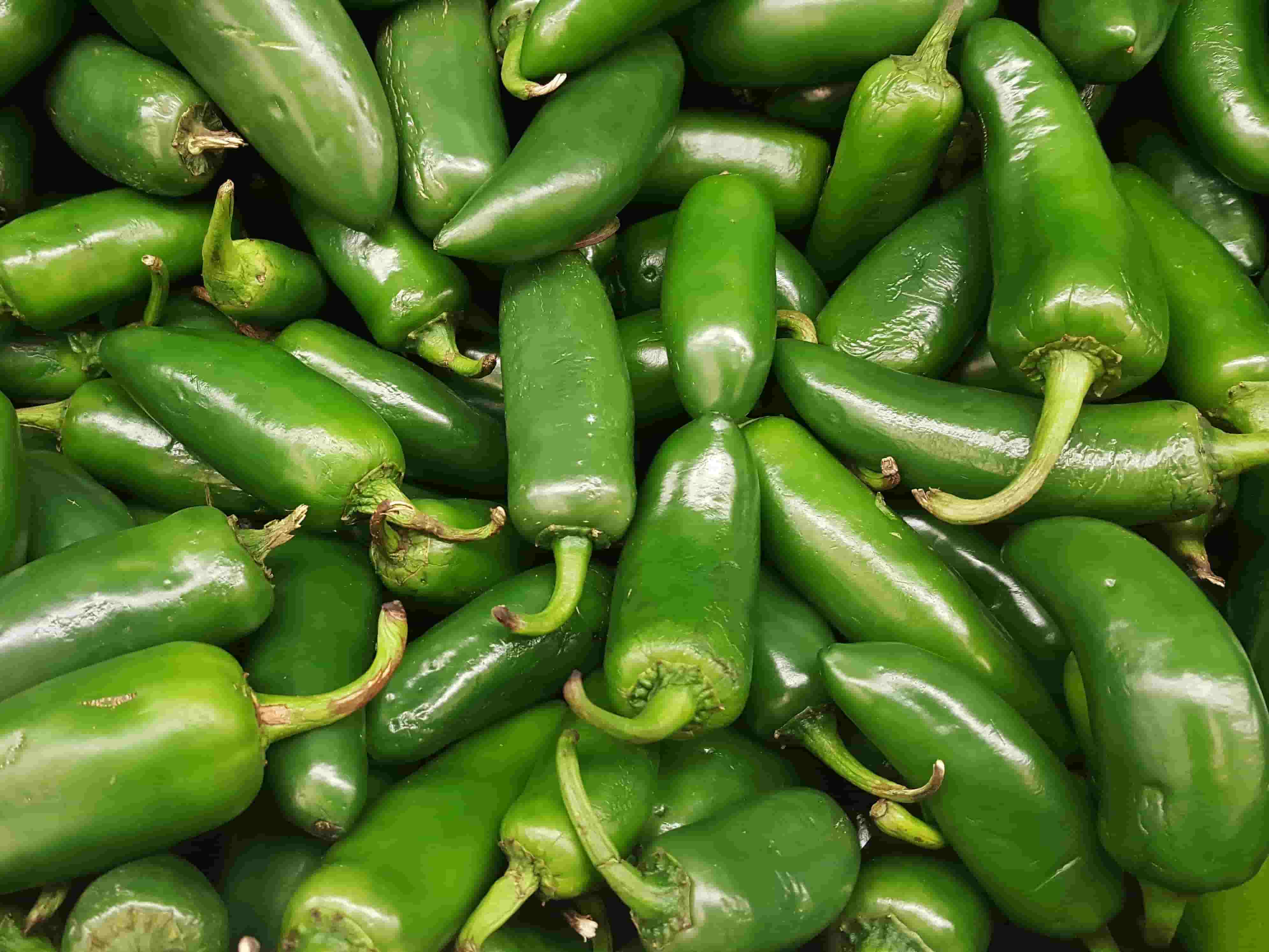 Fabricant de flocons de jalapeño séchés