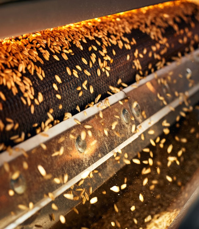 Drum Drying Technology in Food Dehydration