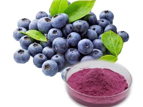 Freeze Dried Blueberry Powder.jpg