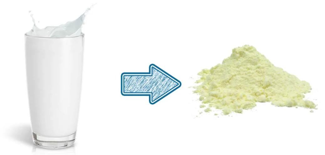 Spray Drying Process.jpg