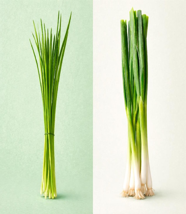 Are Chives and Green Onions the Same?