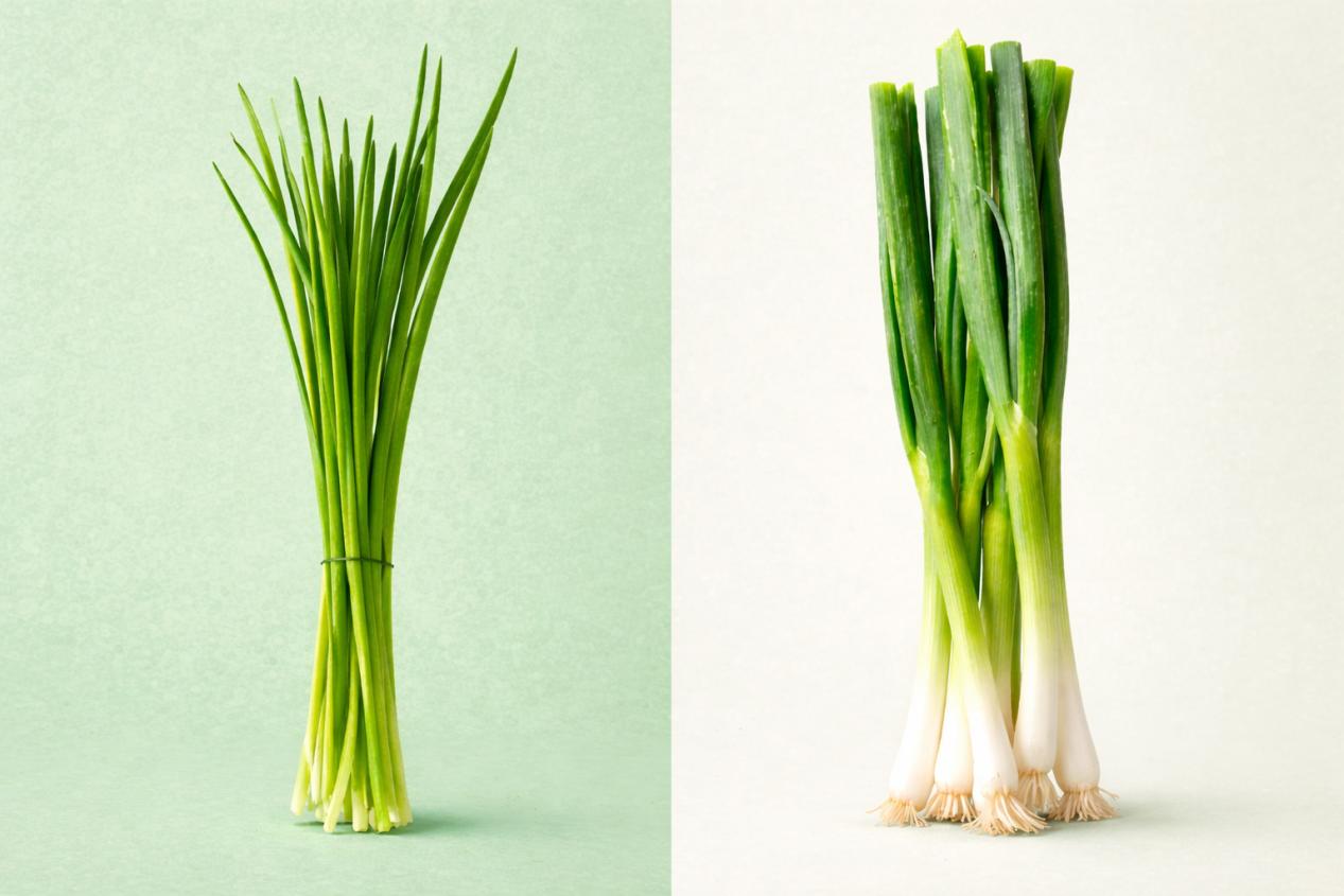 Oignons verts.jpg