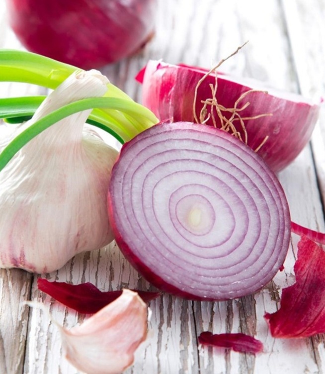 Is an Onion a Vegetable?