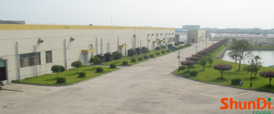 SHUNDI VIEW