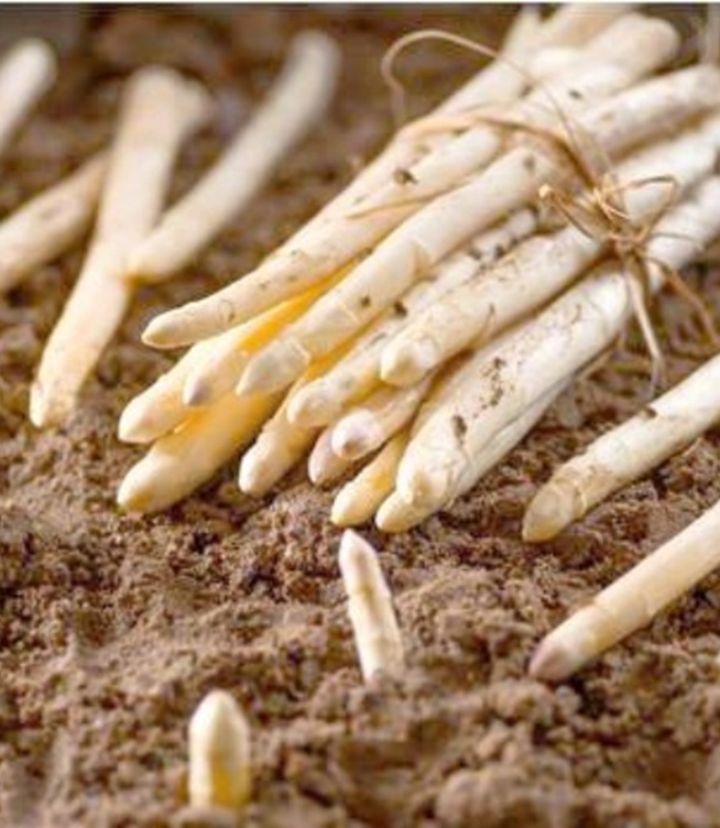 Meet White Asparagus: A Springtime Delight