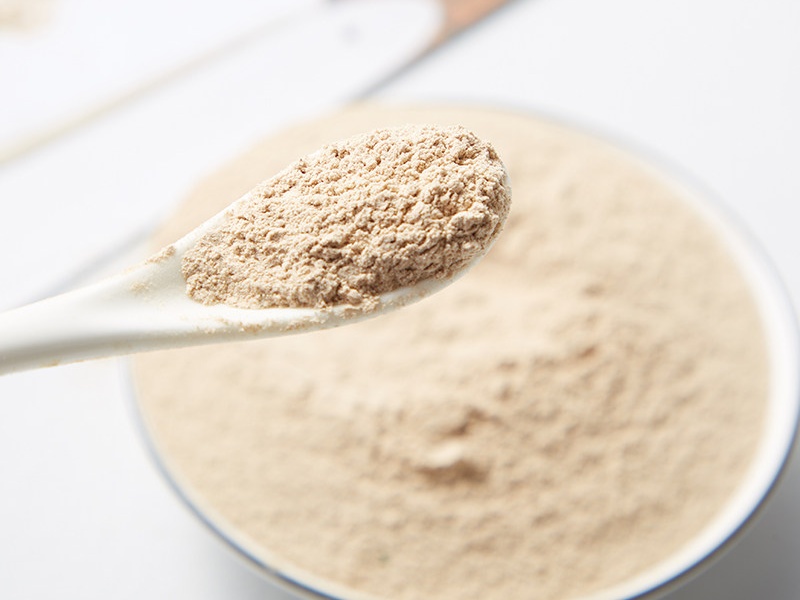 fournisseur de poudre de champignons en vrac.jpg