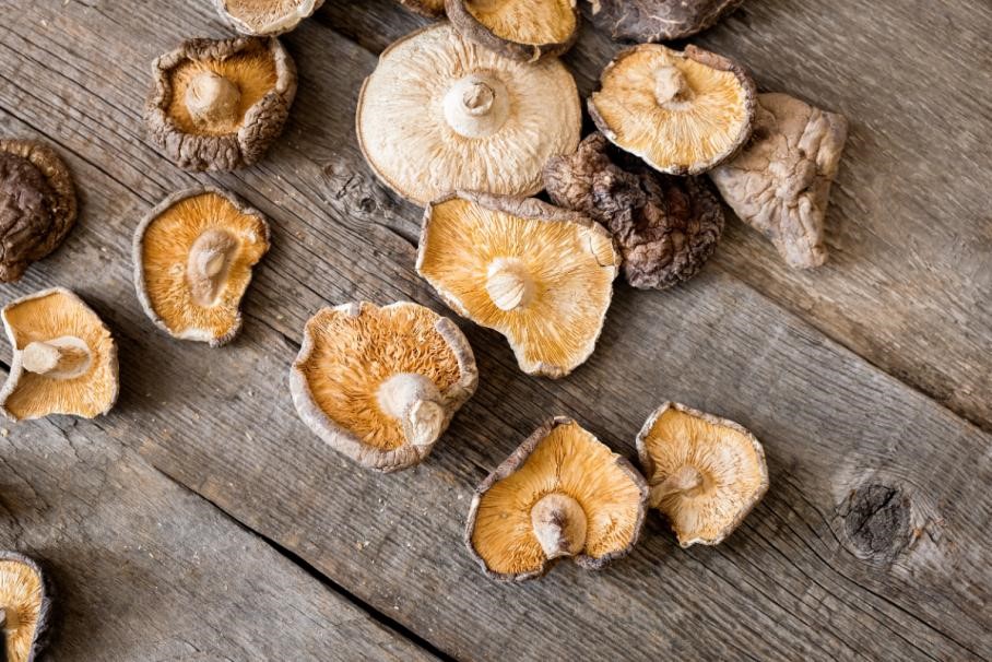 Champignons shiitake déshydratés.jpg