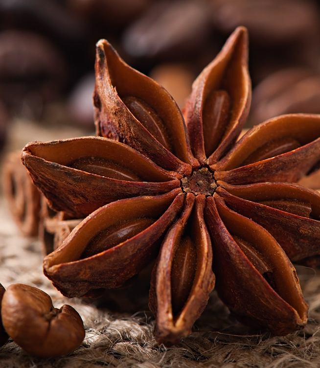 Star Anise 101: Everything You Need to Know