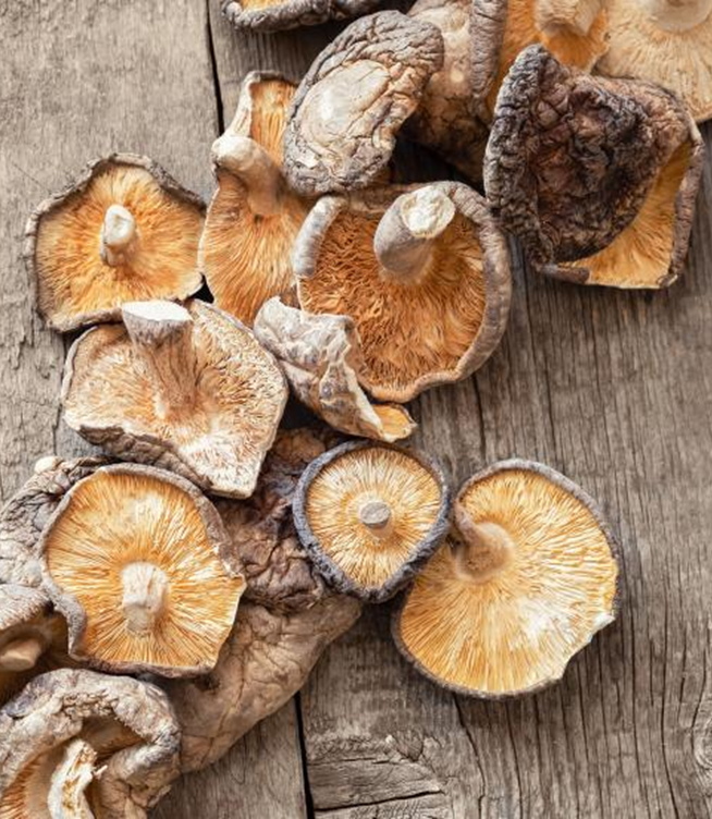 Preserving Mushrooms: How to Dry Them and How Long They Last