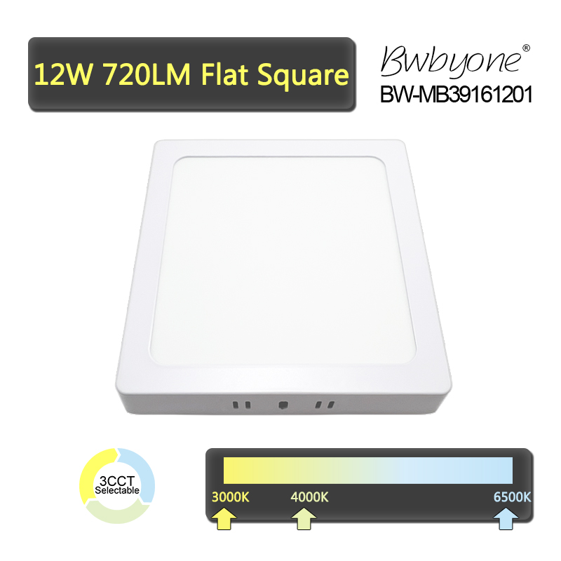 12W 720LM BW-MMB3916120 LED Flush Mounted Square Ceiling Light