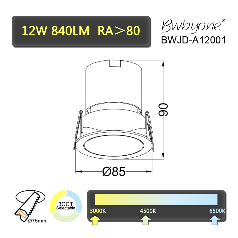 BWJD-A12001 line drawing.jpg