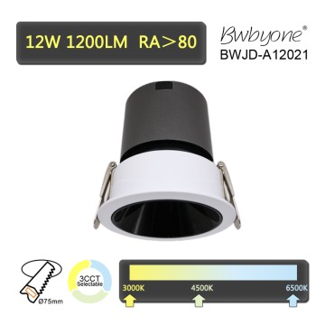 12W 1200LM BWJD-A12001 LED Recessed Spot light