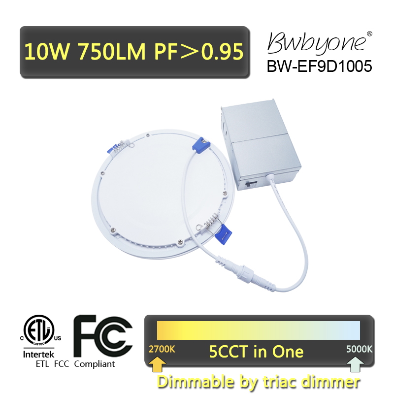 BW-EF9D1005 back view.jpg