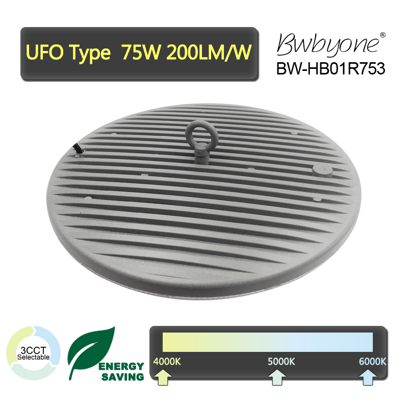 BW-HB01R753 achterkant.jpg