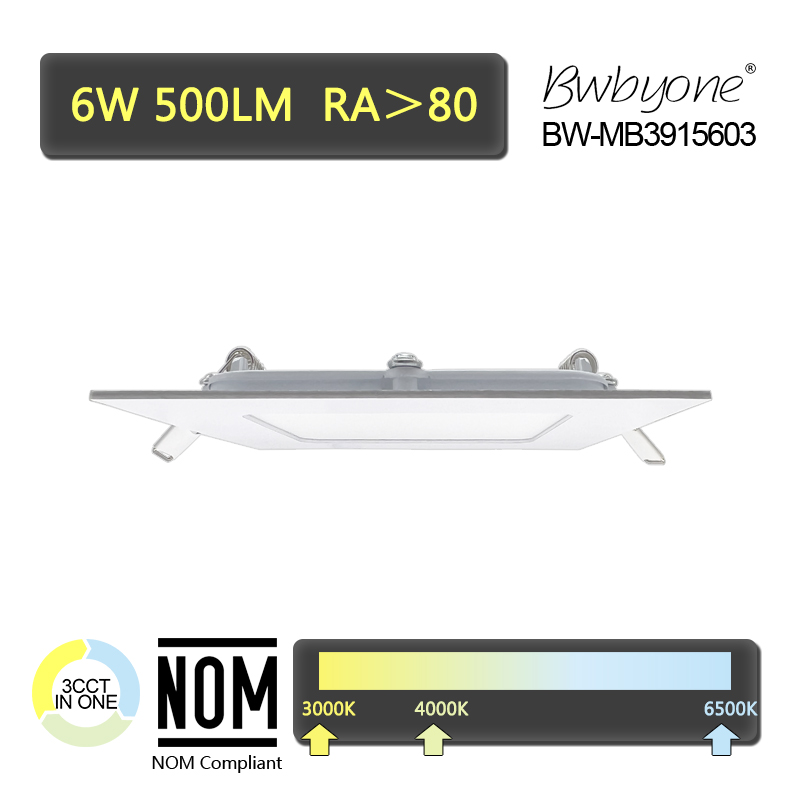 BW-MB3915603 Seitenansicht.jpg