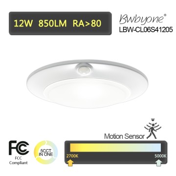 LBW-CL06S41205 LED Flush Mounted Disk light