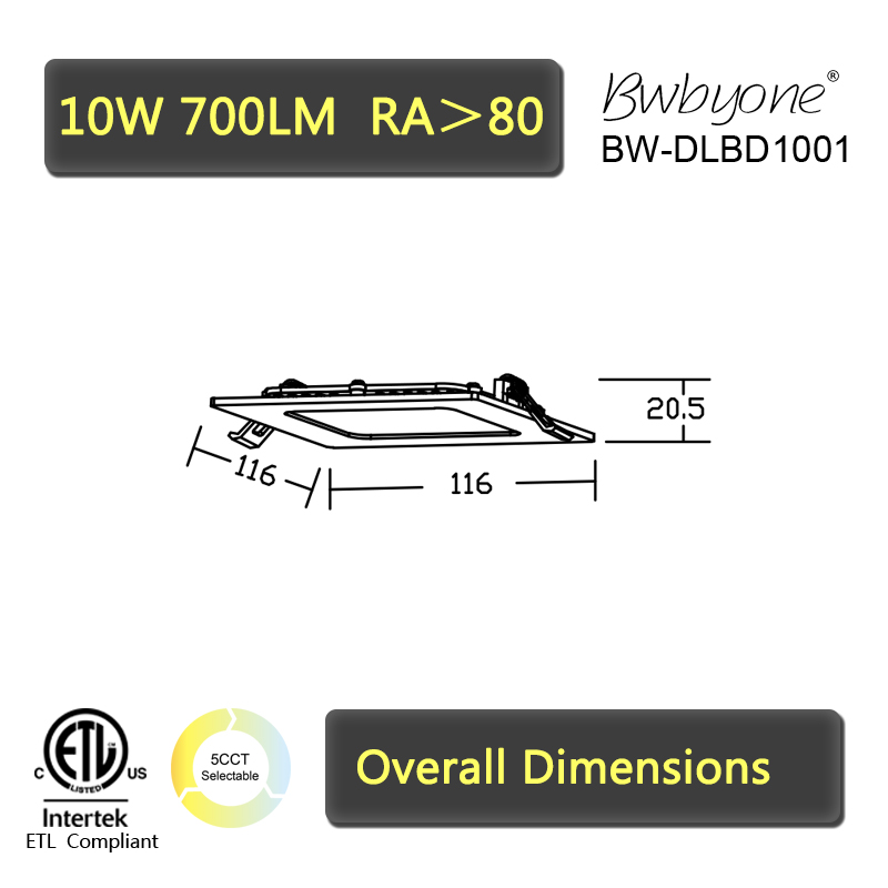 BW-DLBD1001 Line drawing.jpg