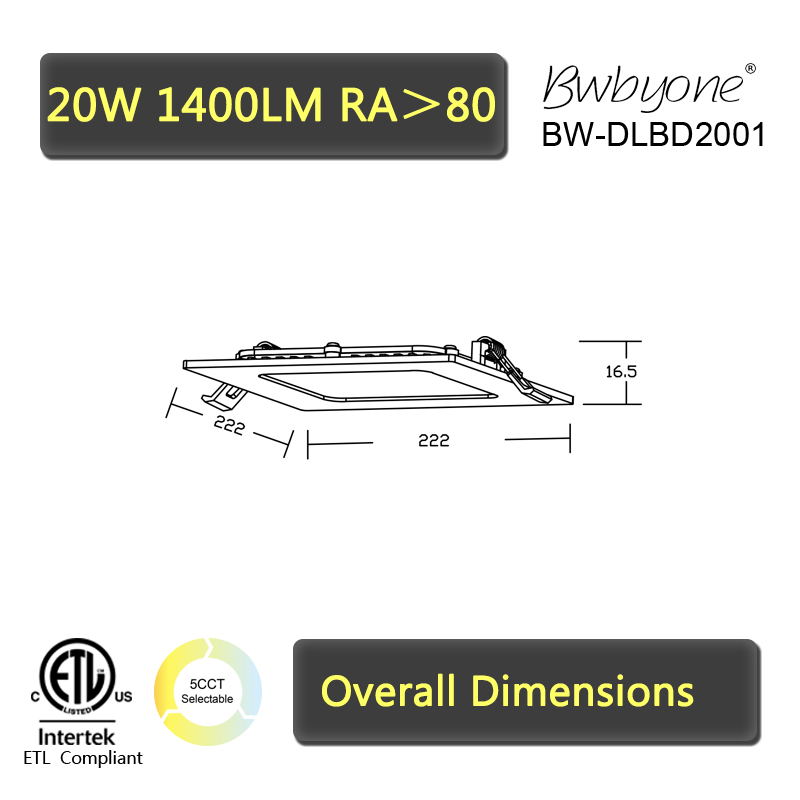 BW-DLBD2001 Line drawing.jpg